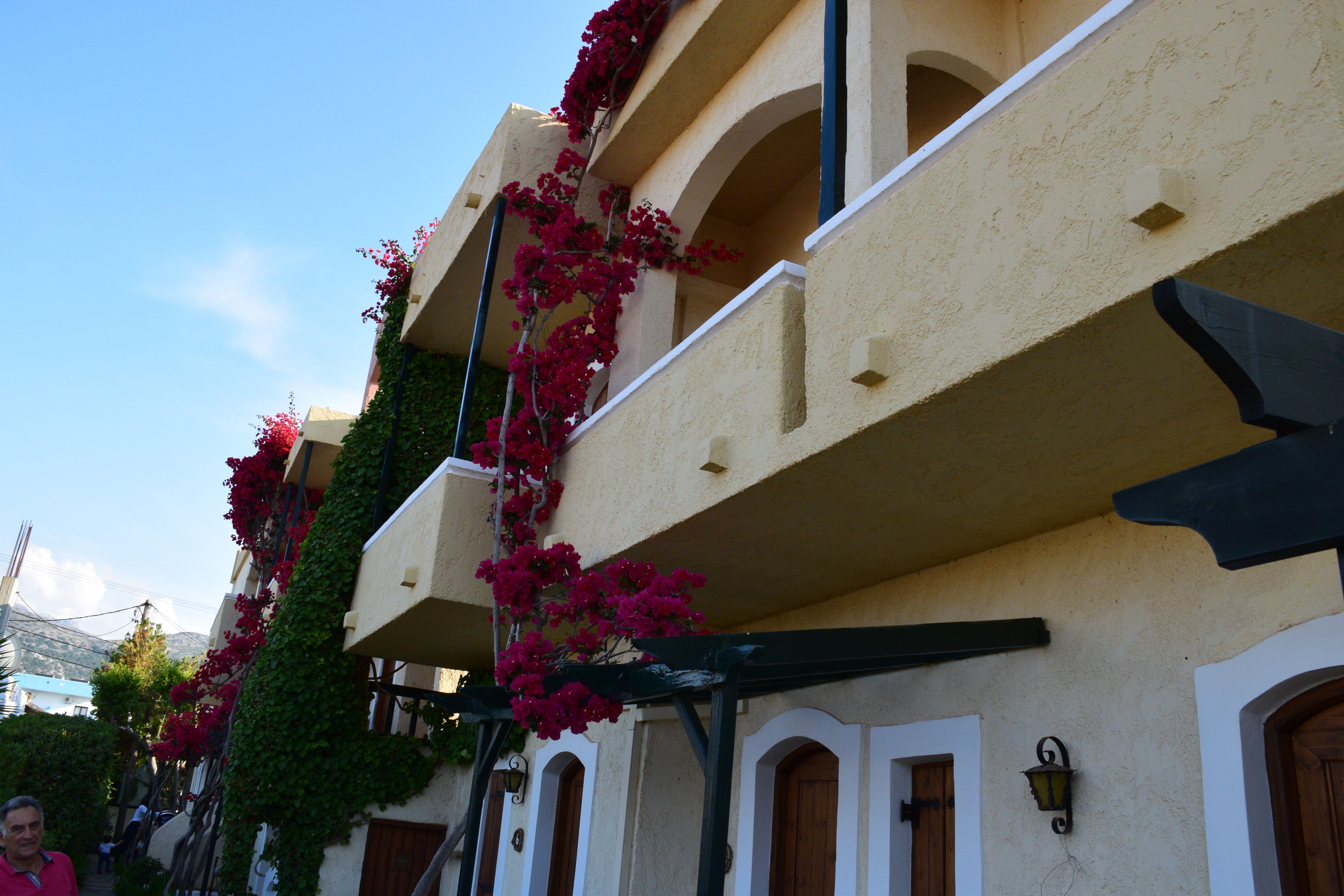 Mila Malia Studios Hotel Mália Exterior foto