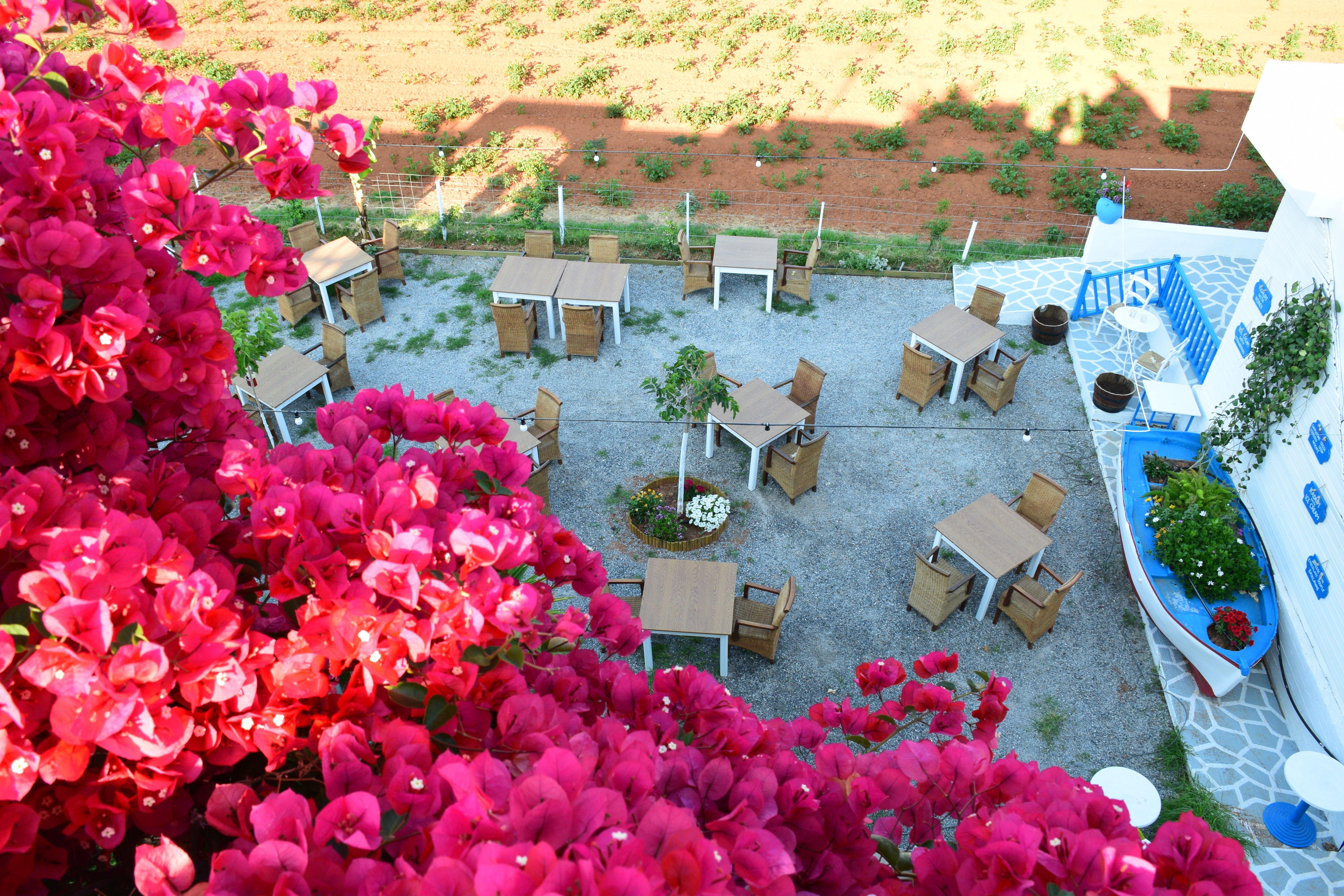 Mila Malia Studios Hotel Mália Exterior foto