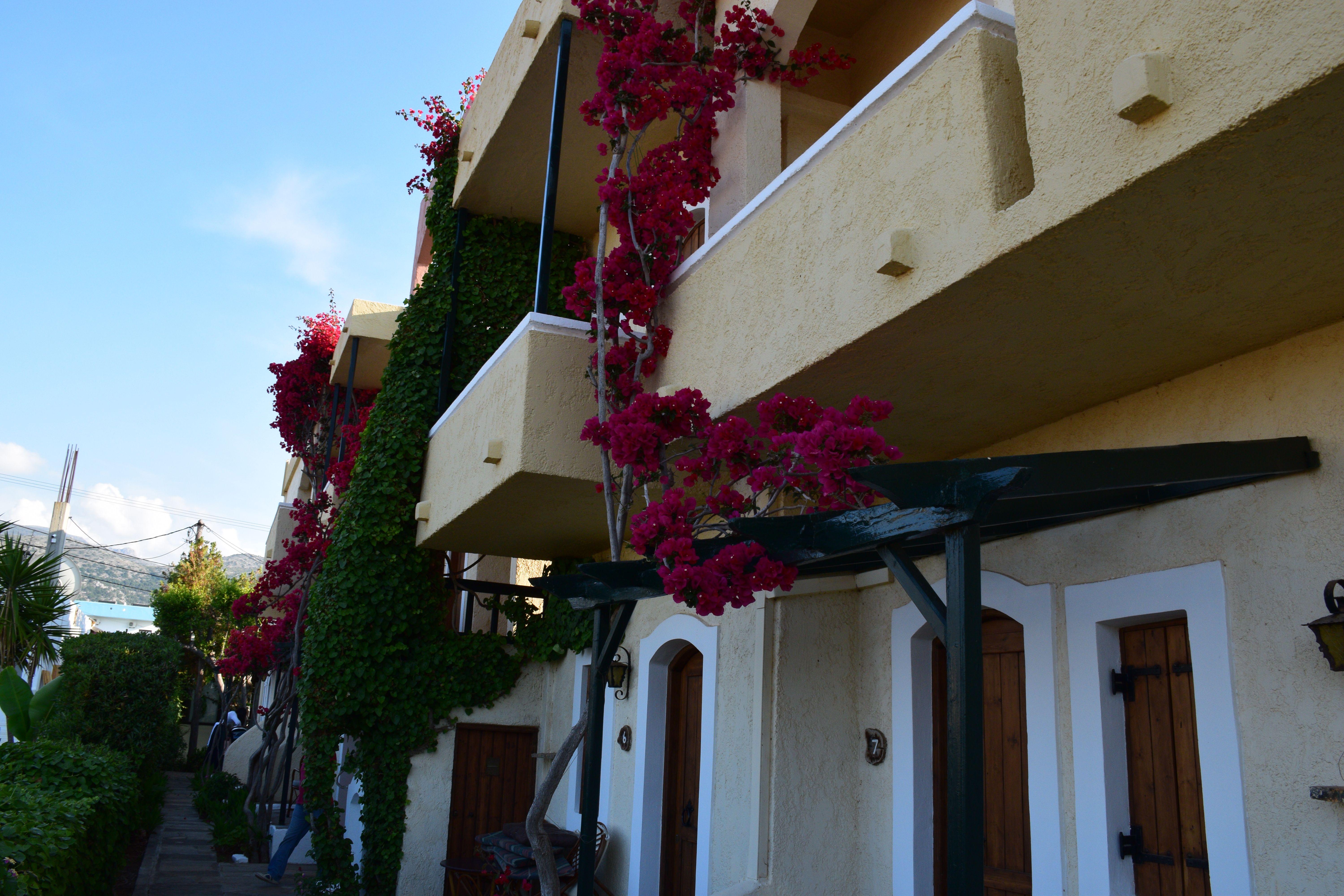 Mila Malia Studios Hotel Mália Exterior foto