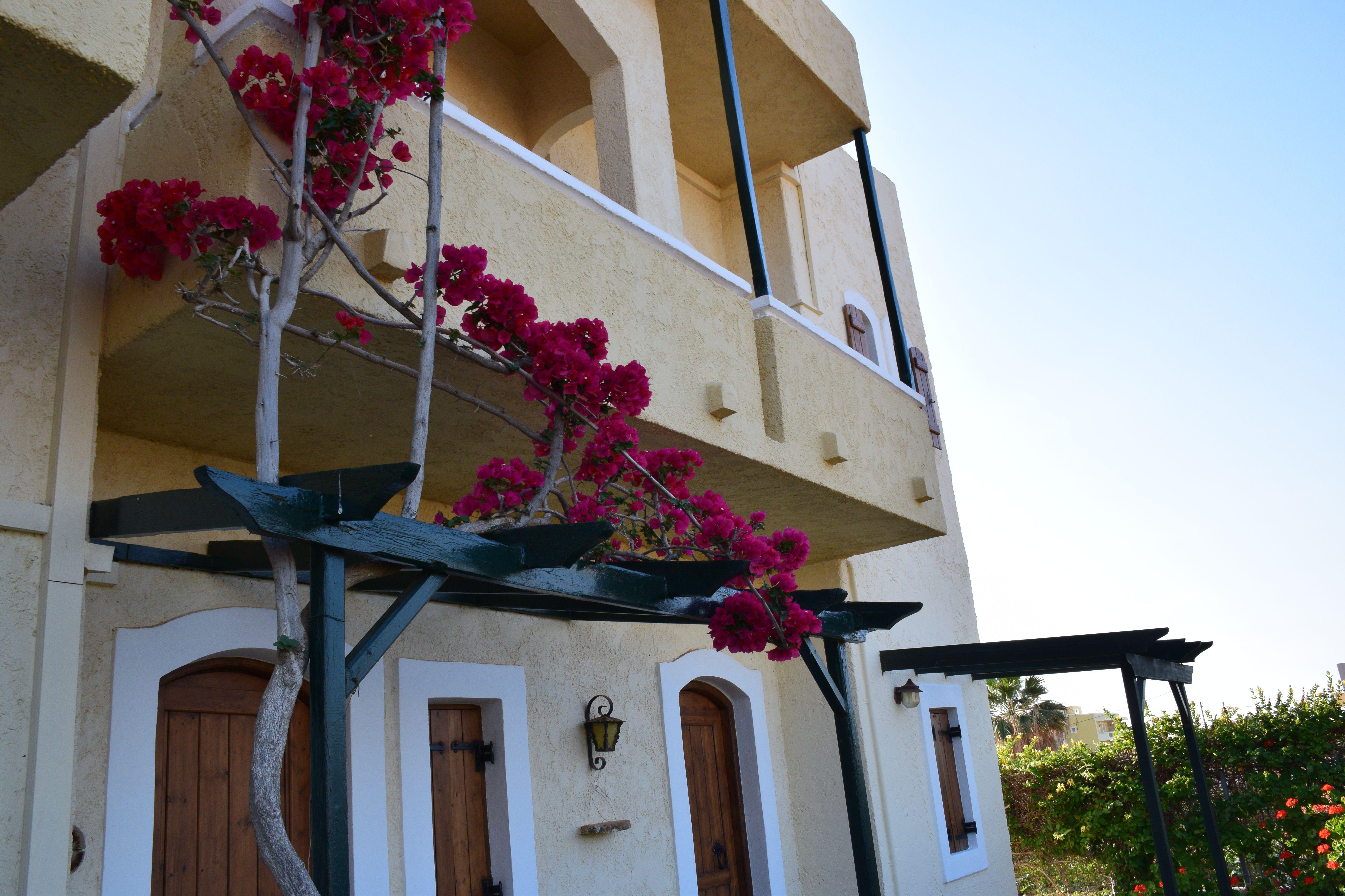 Mila Malia Studios Hotel Mália Exterior foto